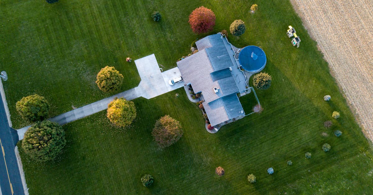Common Gutter Problems and Solutions