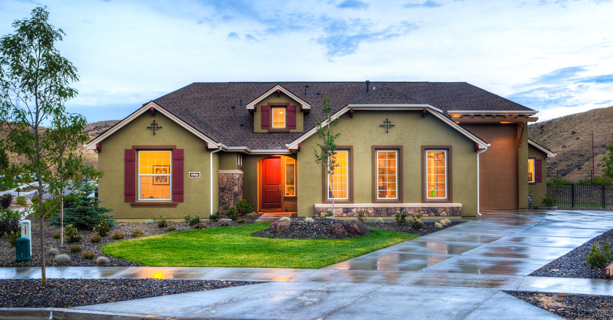 Exploring Pitched Roof Insulation Options for Energy Efficiency