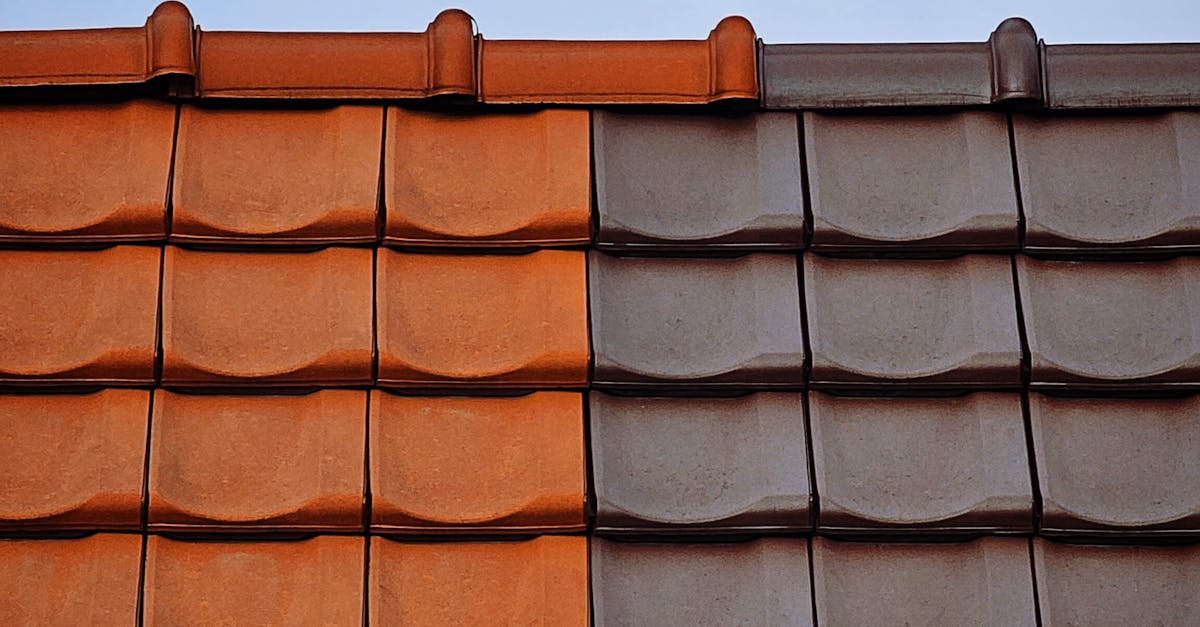Identifying and Locating Roof Leaks